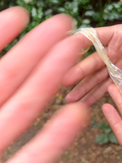CONDOM FISHING - EMPTYING OUT USED CONDOMS AND DRAINING THEM 4 SPUNK' 2 FUCK UP FIT BOY